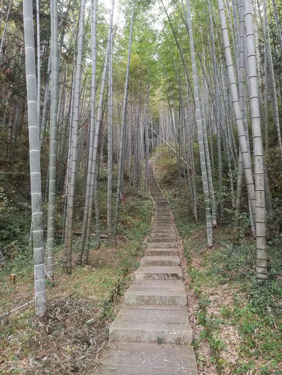 宜春·百丈禅寺