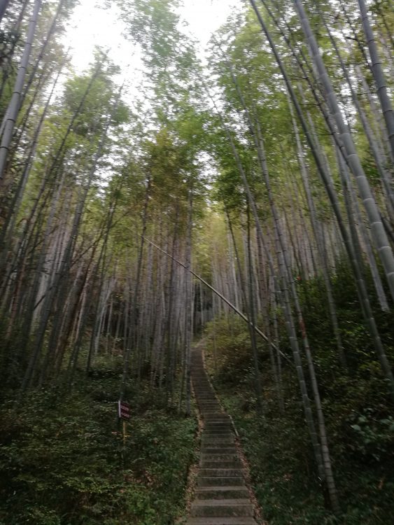 宜春·百丈禅寺